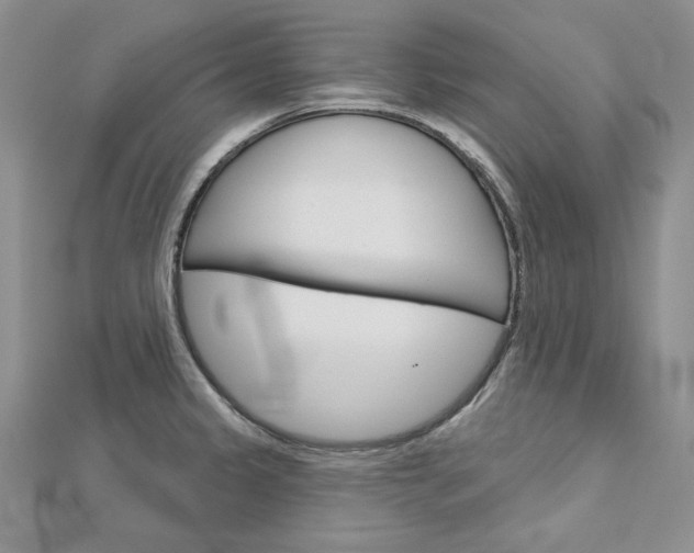 X0000113061333200908280939