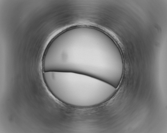 X0000113061335200908280939
