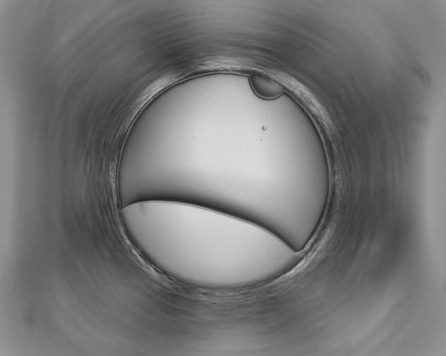 X0000113061337200908280939