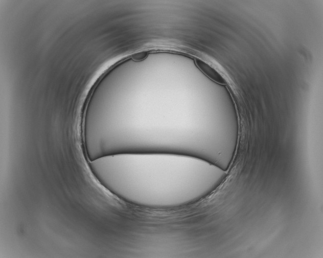 X0000113061339200908280939