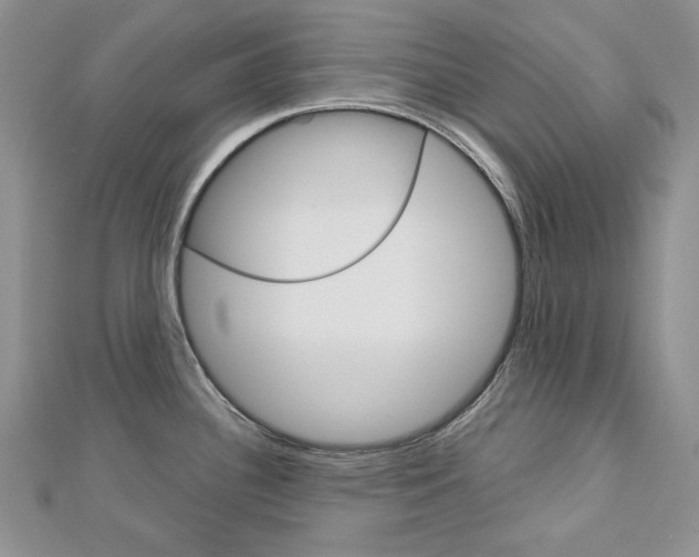 X0000113061340200908280939