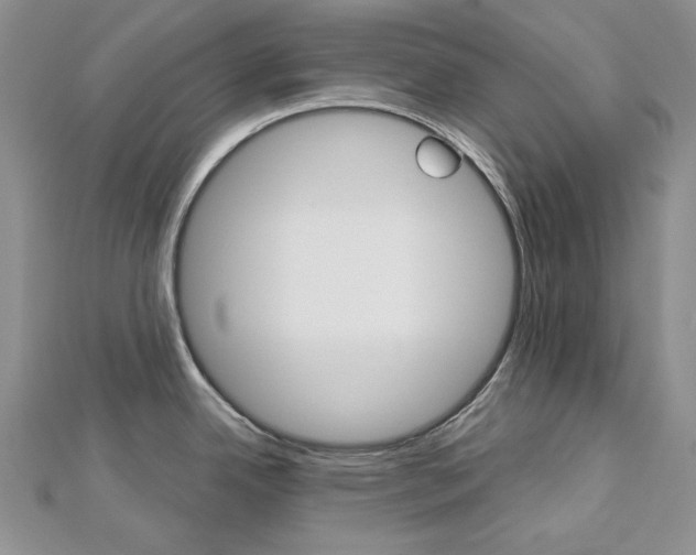 X0000113061342200908280939