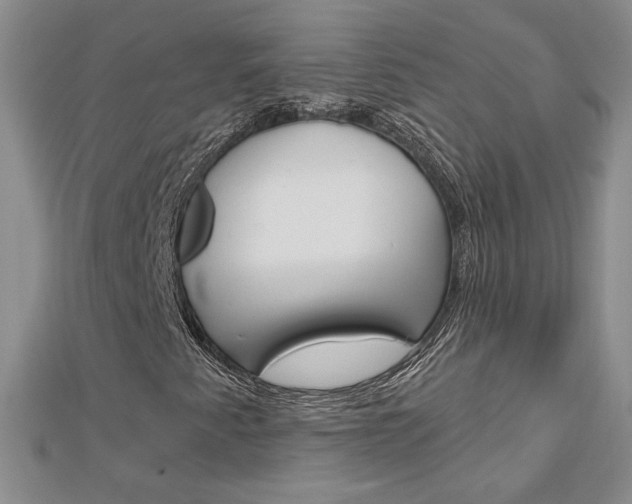 X0000113061345200908280938