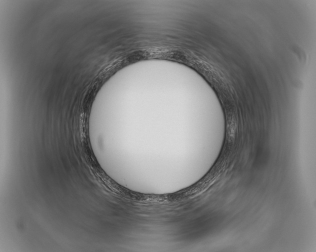 X0000113061346200908280938