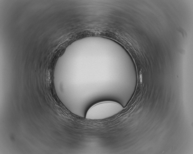 X0000113061347200908280938
