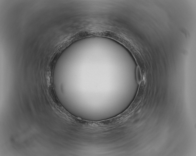 X0000113061348200908280938
