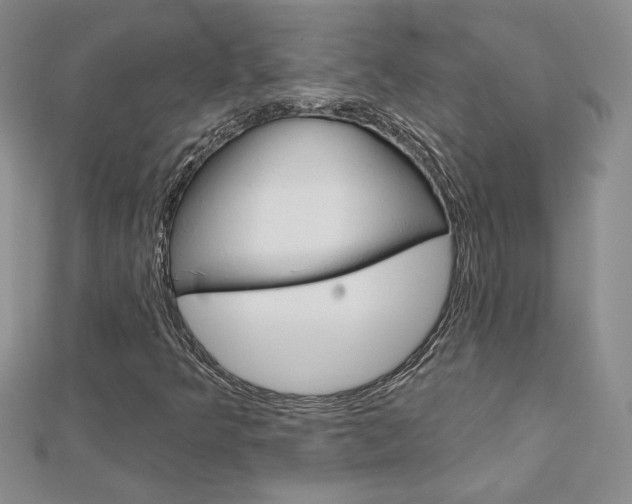 X0000113061349200908280938
