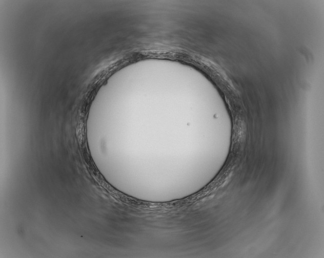 X0000113061350200908280938