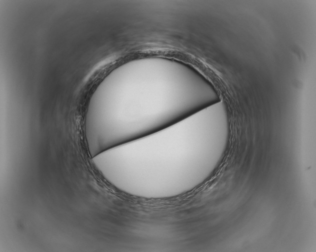 X0000113061351200908280938