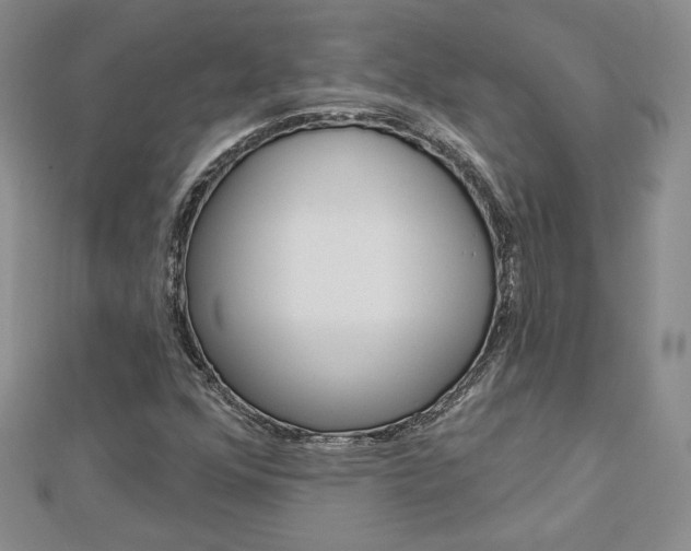X0000113061352200908280938
