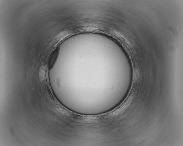 X0000113061353200908280938