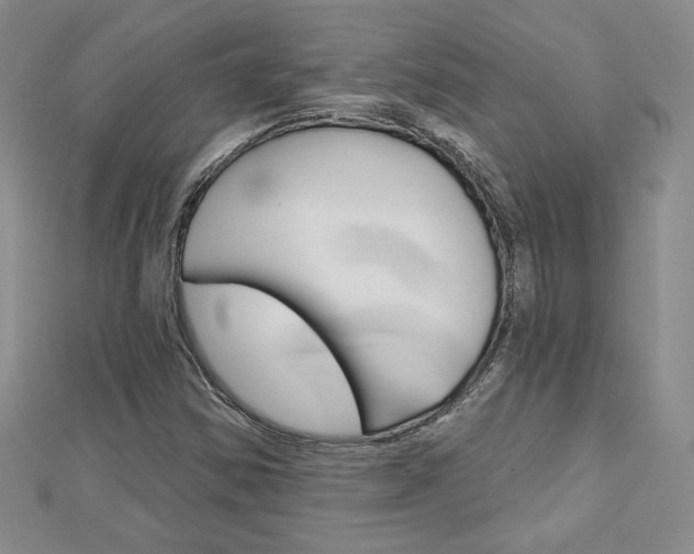 X0000113061354200908280938