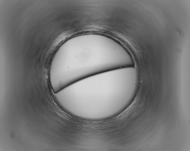 X0000113061355200908280938