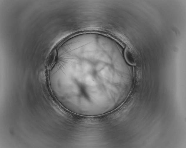 X0000113061356200908280938