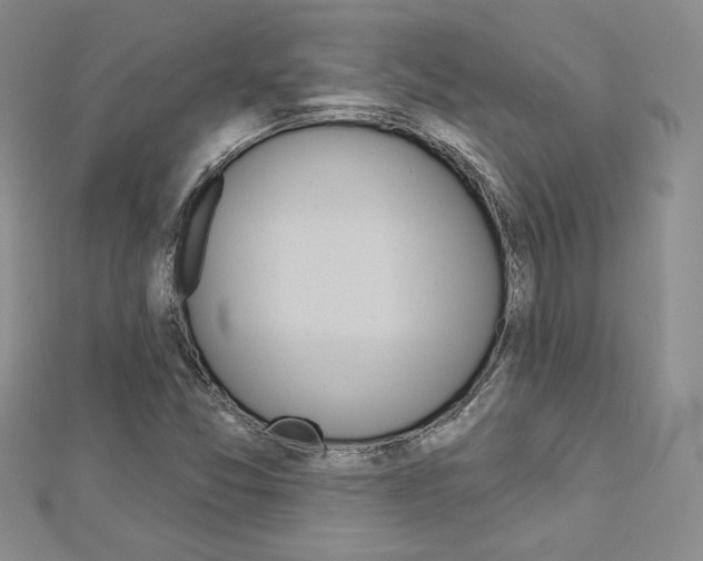 X0000113061357200908280938