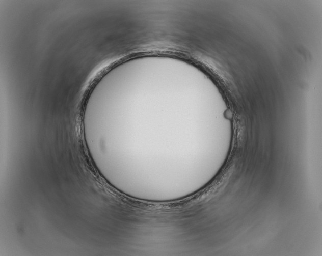 X0000113061358200908280938