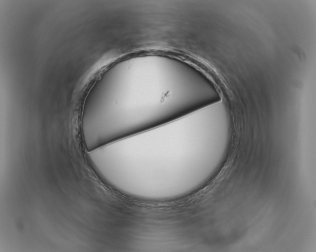 X0000113061359200908280938