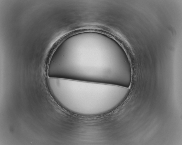 X0000113061360200908280938