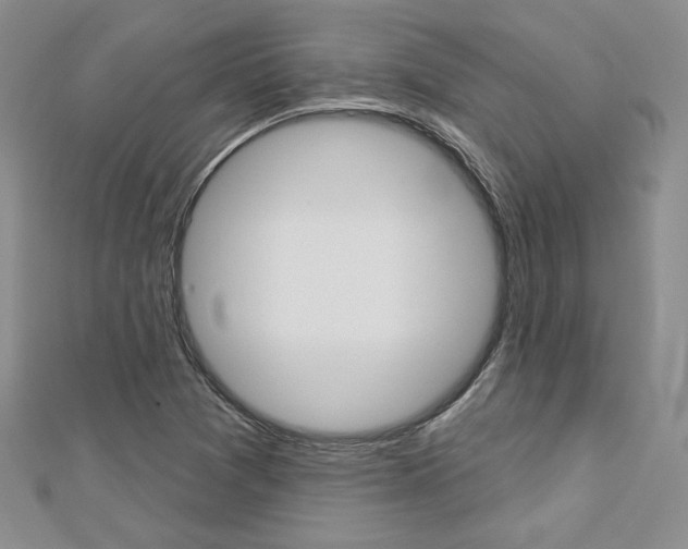 X0000113061361200908280938
