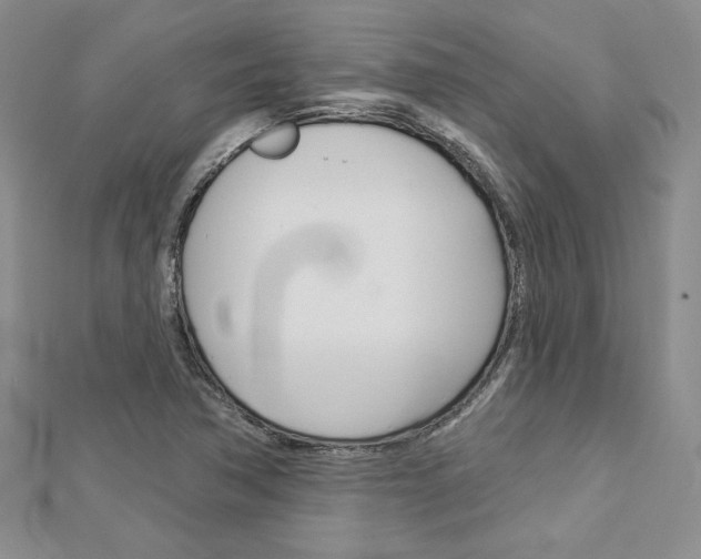 X0000113061362200908280938