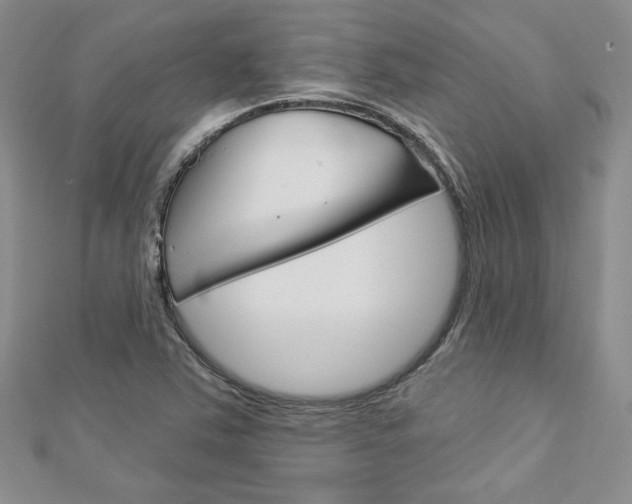 X0000113061363200908280938
