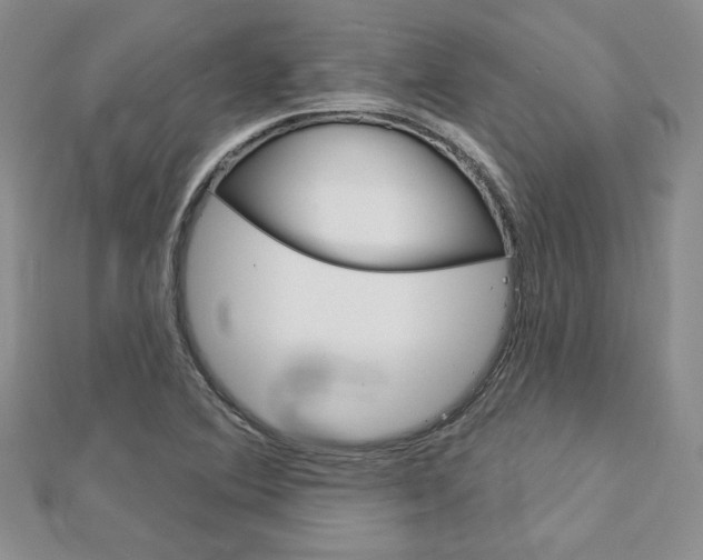 X0000113061364200908280938