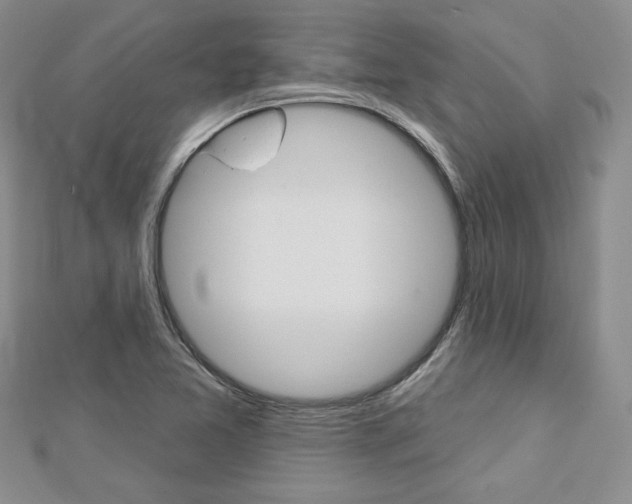 X0000113061365200908280938