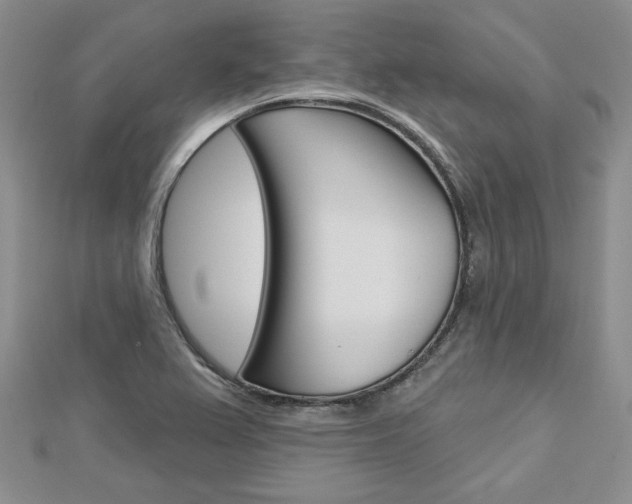 X0000113061367200908280938