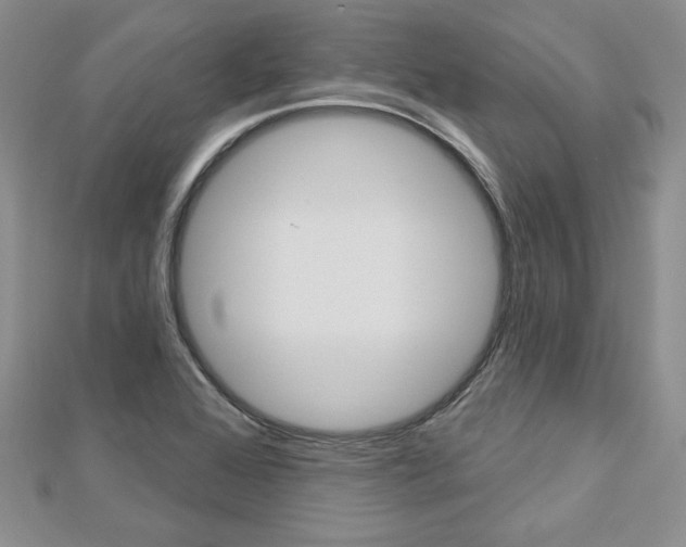 X0000113061368200908280938