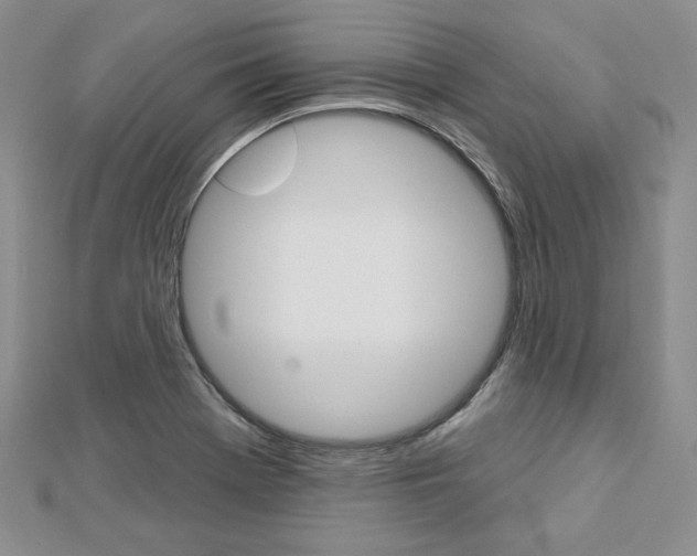 X0000113061369200908280938