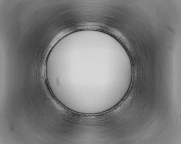 X0000113061370200908280938