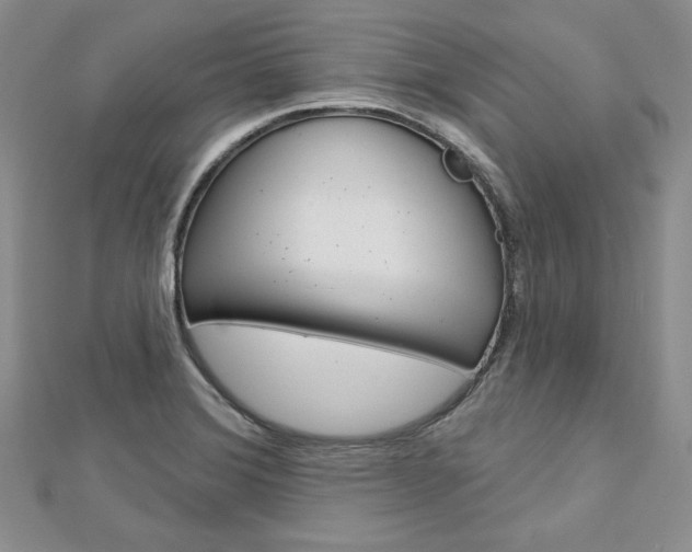 X0000113061372200908280938