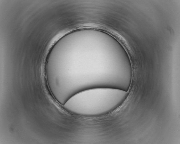 X0000113061373200908280938