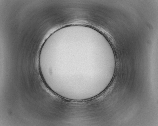 X0000113061374200908280938