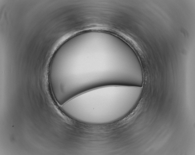X0000113061375200908280938