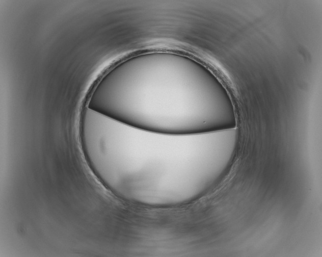 X0000113061376200908280938