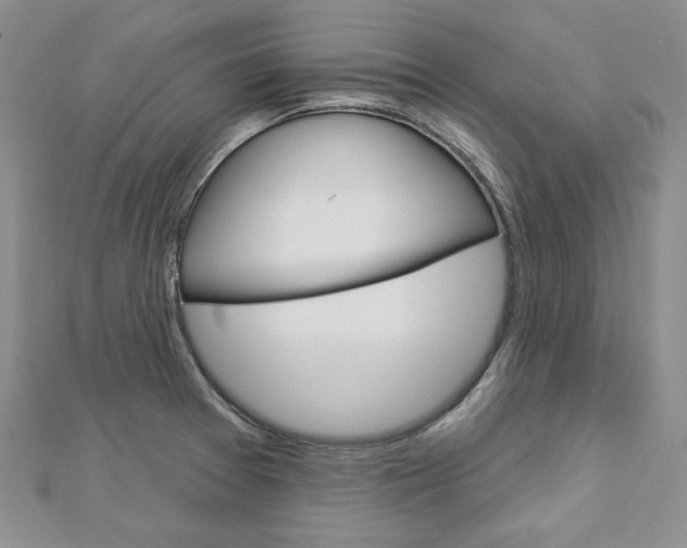 X0000113061377200908280938