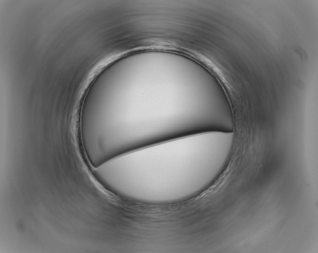 X0000113061379200908280938