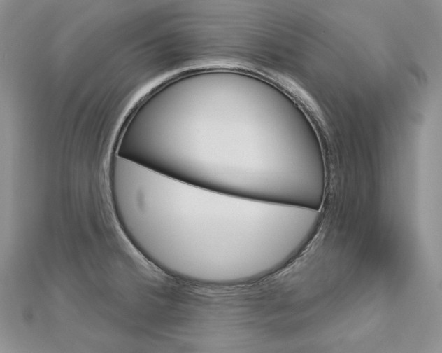 X0000113061380200908280938