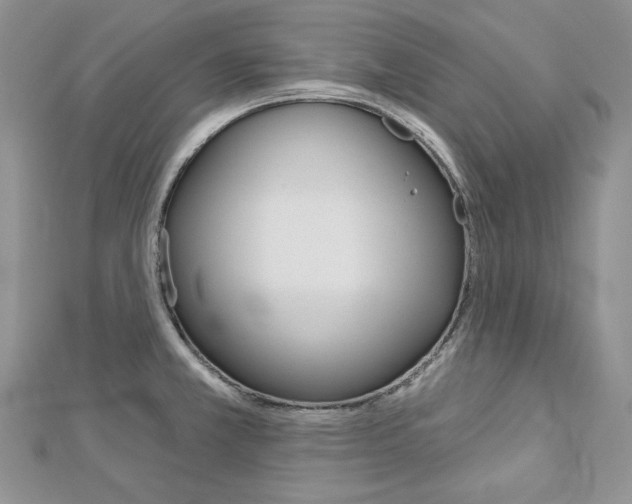 X0000113061381200908280938