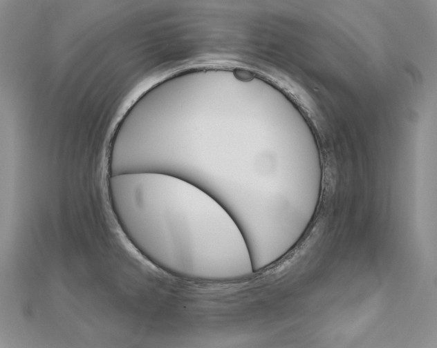 X0000113061382200908280937