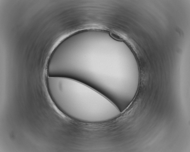 X0000113061383200908280937