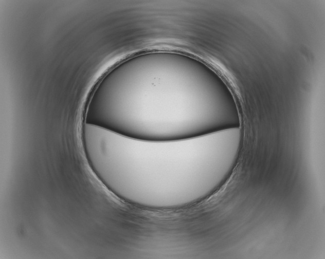 X0000113061384200908280937