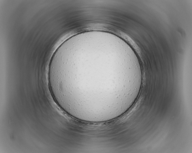 X0000113061386200908280937