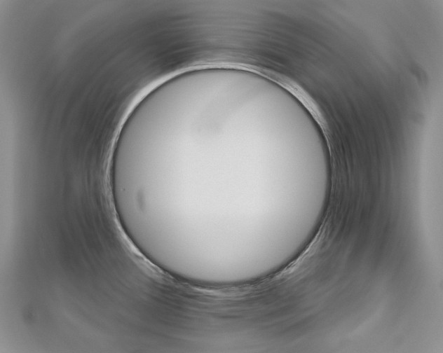 X0000113061388200908280937