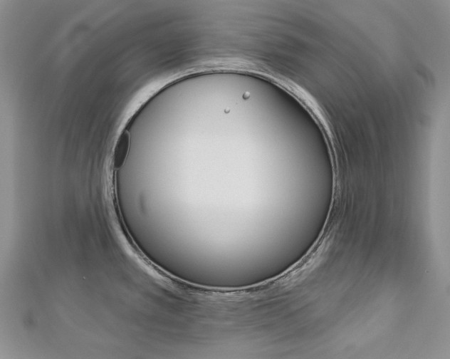 X0000113061389200908280937