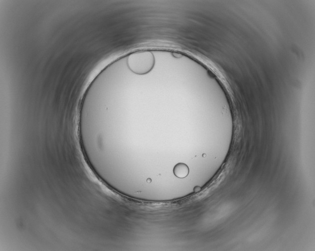 X0000113061390200908280937