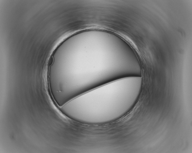 X0000113061391200908280937