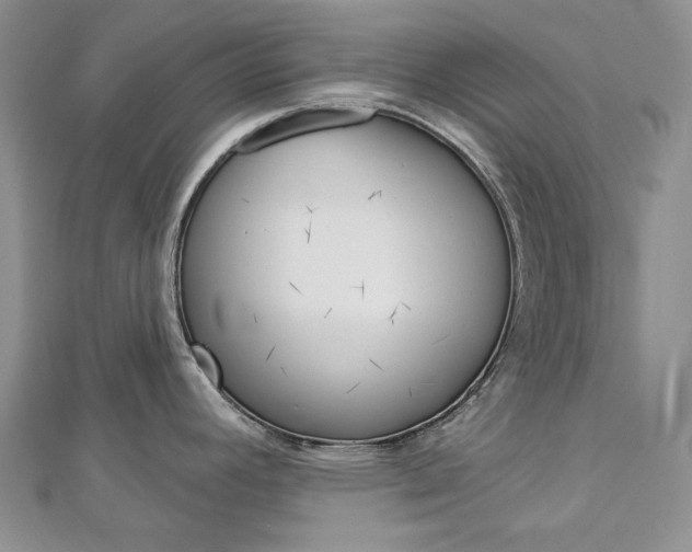 X0000113061392200908280937