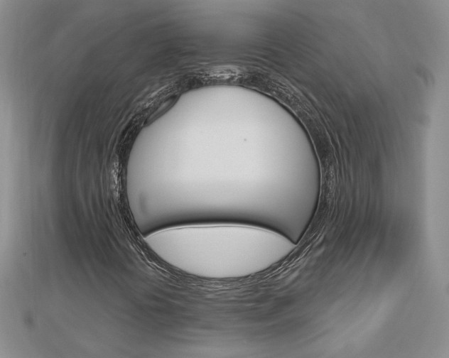 X0000113061394200908280937